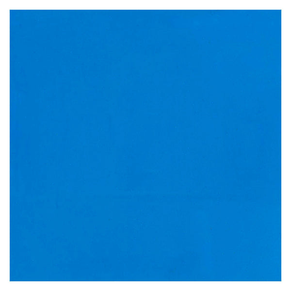 Bruynzeel ecola plakkaatverf fles 16ml lichtblauw 501
