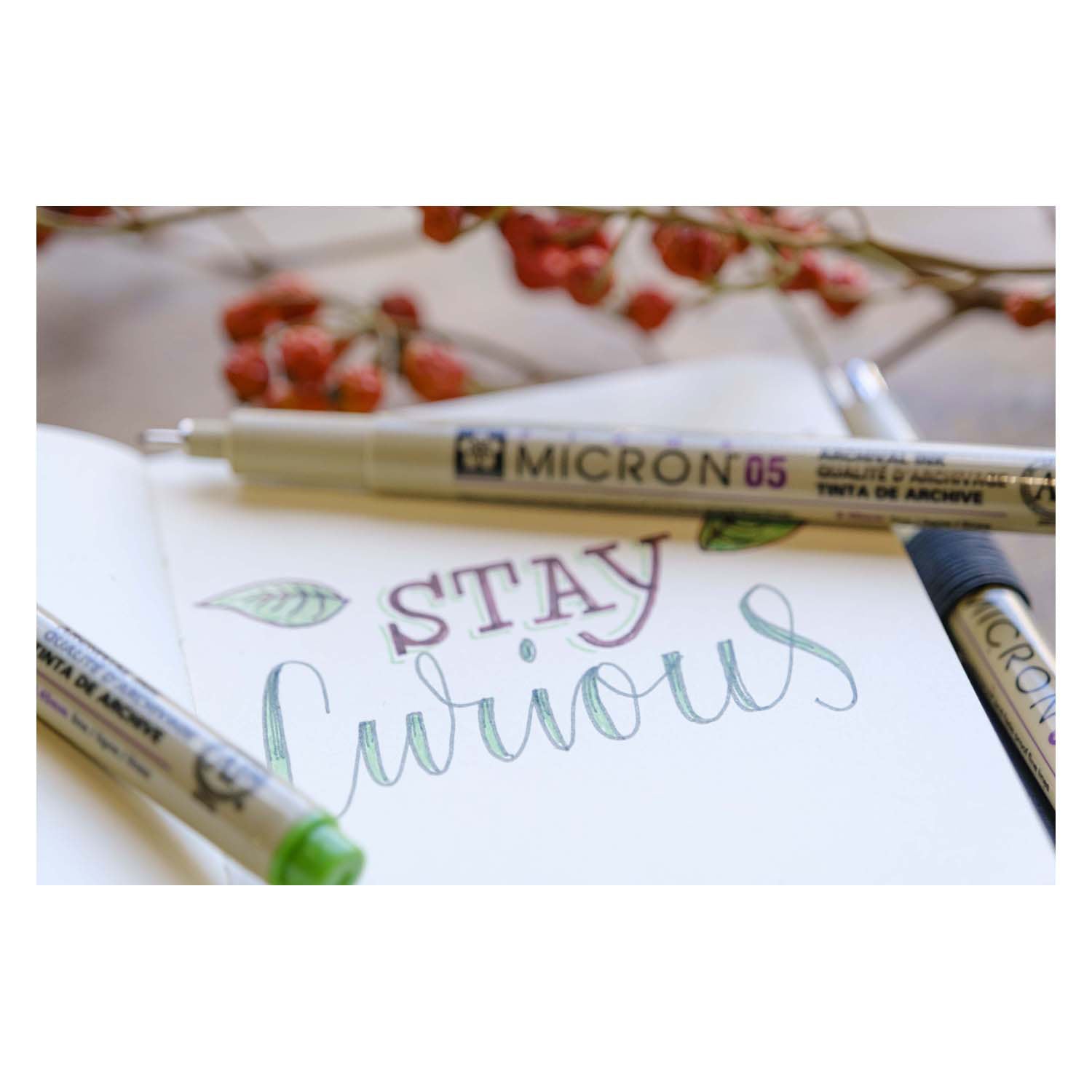 Sakura pigma micron 05 etui met 6 aardekleuren