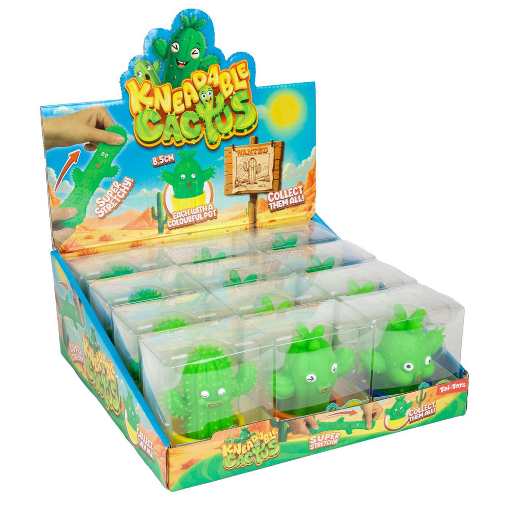 Toi-toys fun stretchy kneedcactus met potje 6 assorti