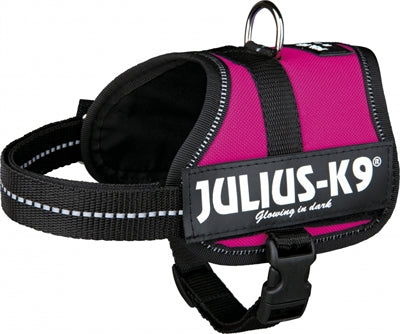 Julius k9 powerharnastuig voor labels fuchsia