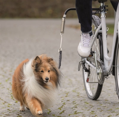 Trixie bikerset fietsbeugel springer