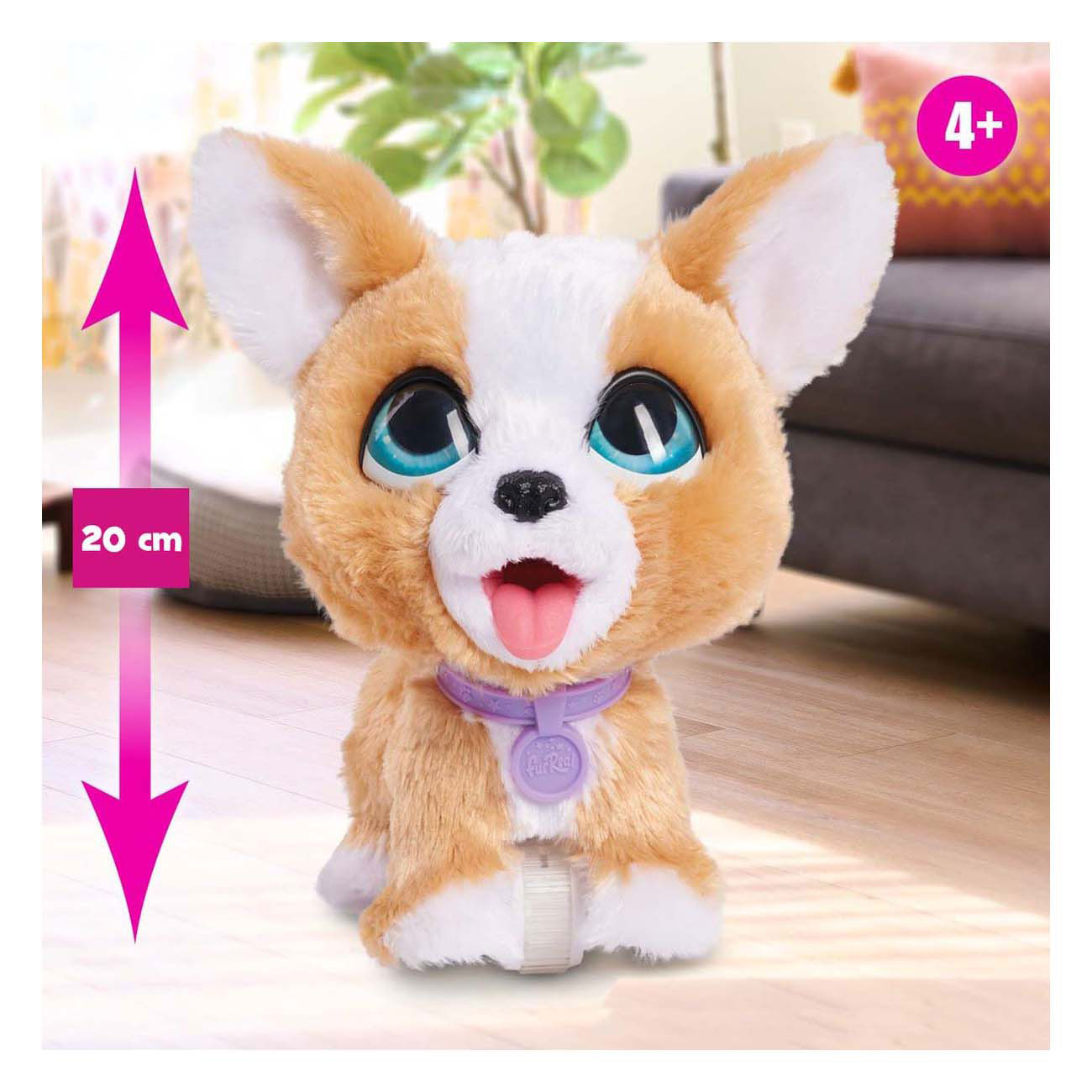 Spectron furreal poep een heleboel corgi