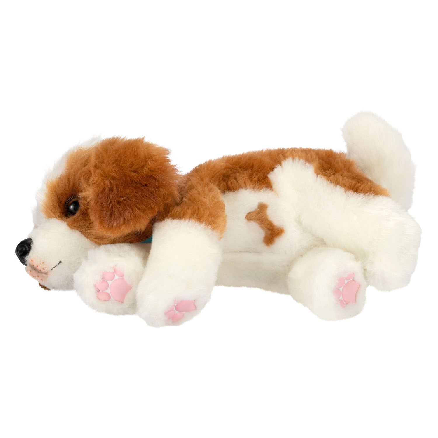 Mijn echt echte puppy-patches