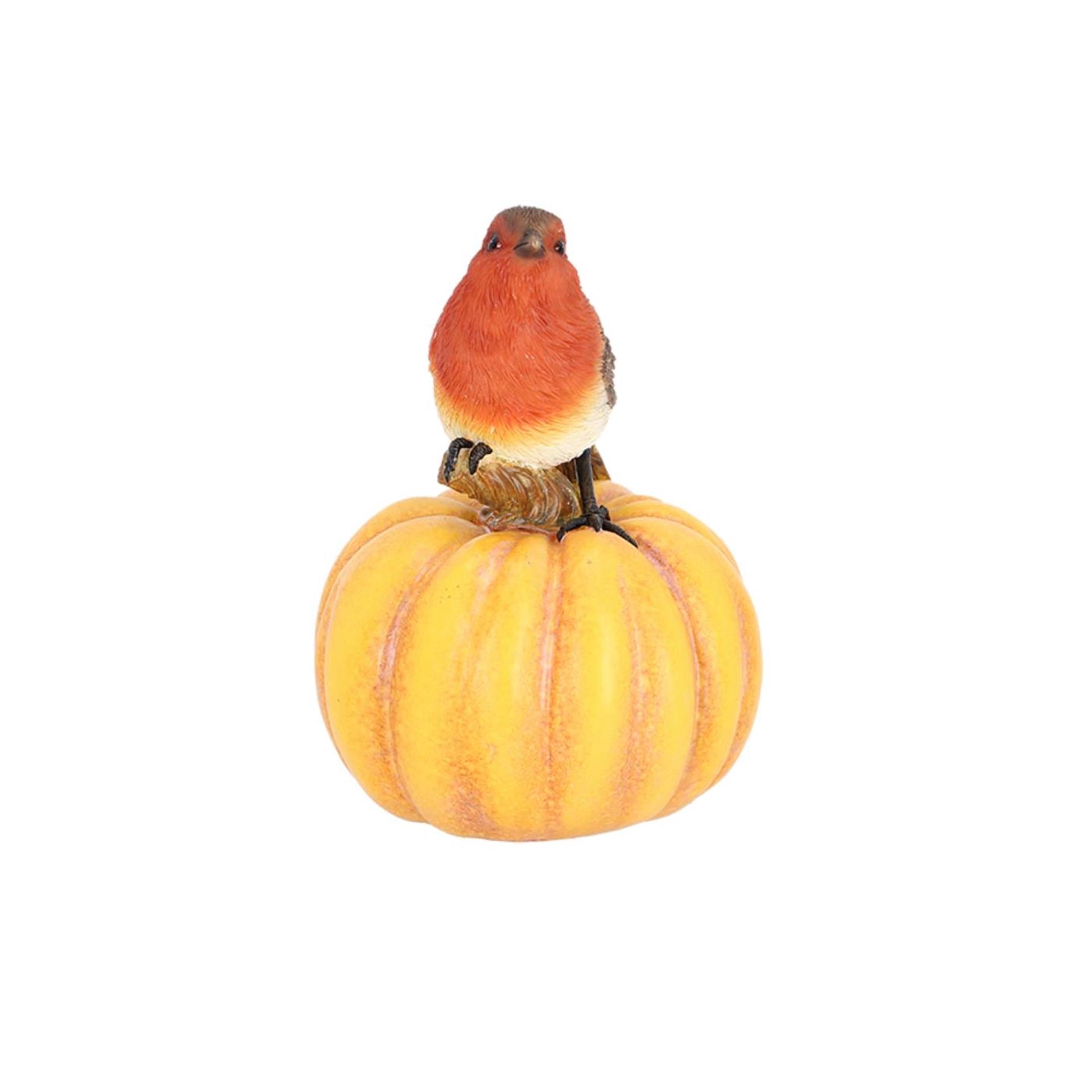 Esschert design roodborst op pompoen