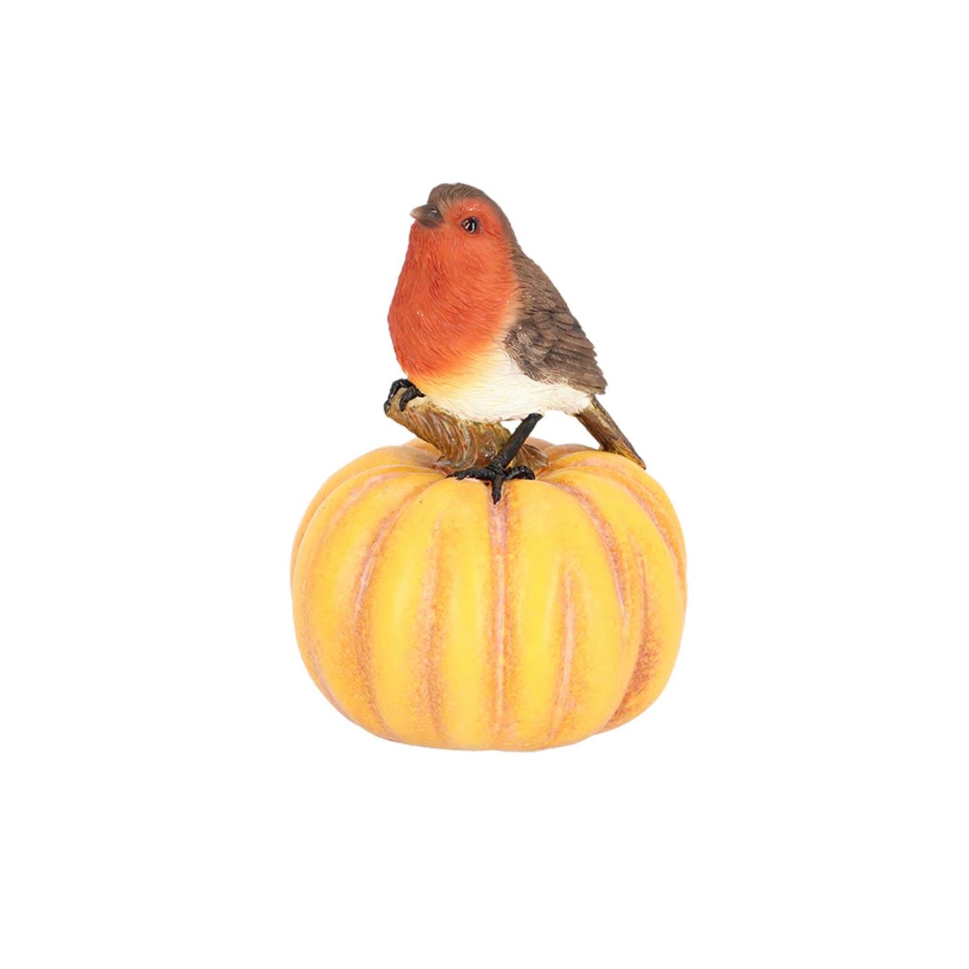 Esschert design roodborst op pompoen