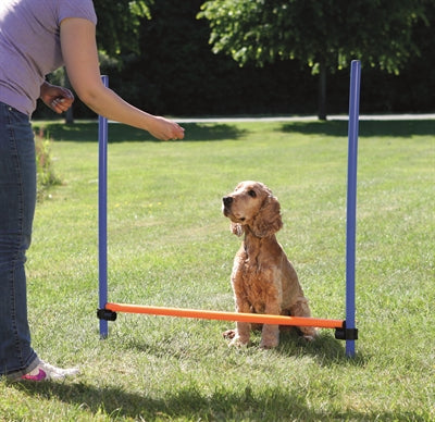 Trixie Hondenactiviteit agility horde blauw oranje