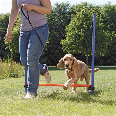 Trixie Hondenactiviteit agility horde blauw oranje