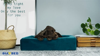 Bia bed royal fluweel schoffels voor hondenmand benzine