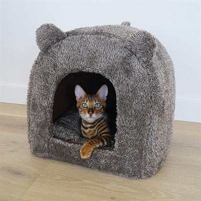 40 knipoogjes Kattenmand iglo teddy bruin