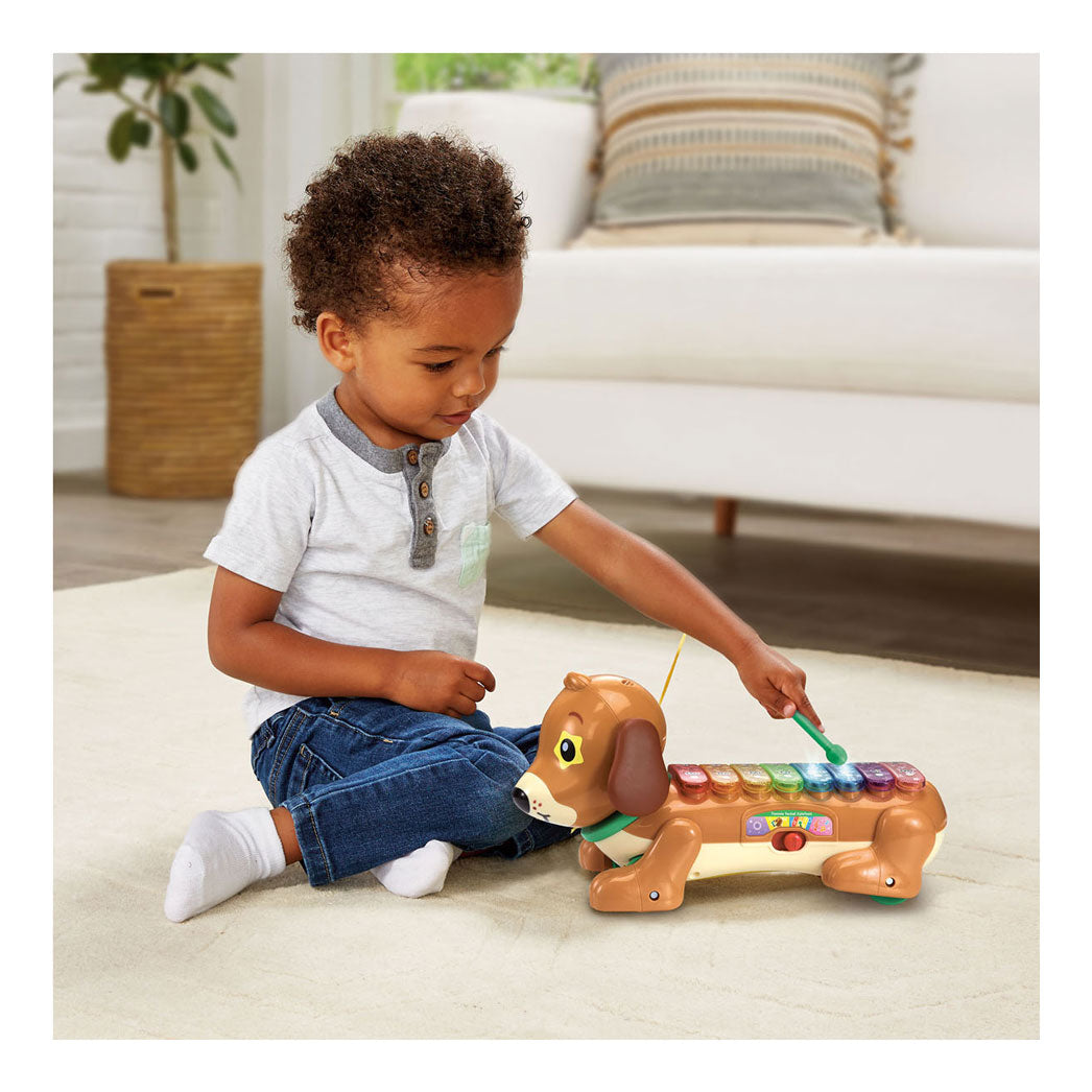 Vtech timmie teckel xylofoon