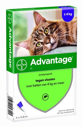 Bayer Advantage Cat