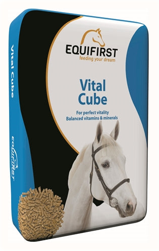 Equifirst vitale kubus