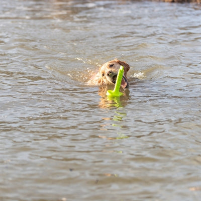 Trixie hondenactiviteit mot-aqua apporteer dobber limegroen