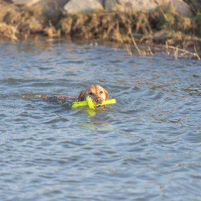 Trixie hondenactiviteit mot-aqua apporteer dobber limegroen