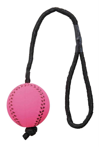 Trixie foam floating sport ball on a rope assorted