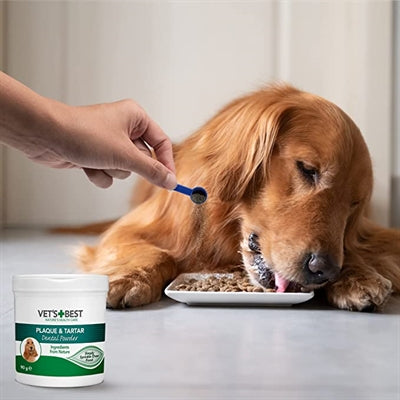 Beste tandpoeder van dierenartsen