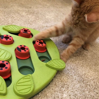 Nina Ottosson puzzelspel buggin out groen