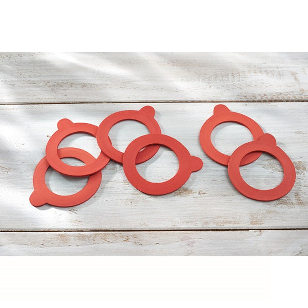 Leifheit 3215 rubberen weckringen 52x80 mm 6 stuks