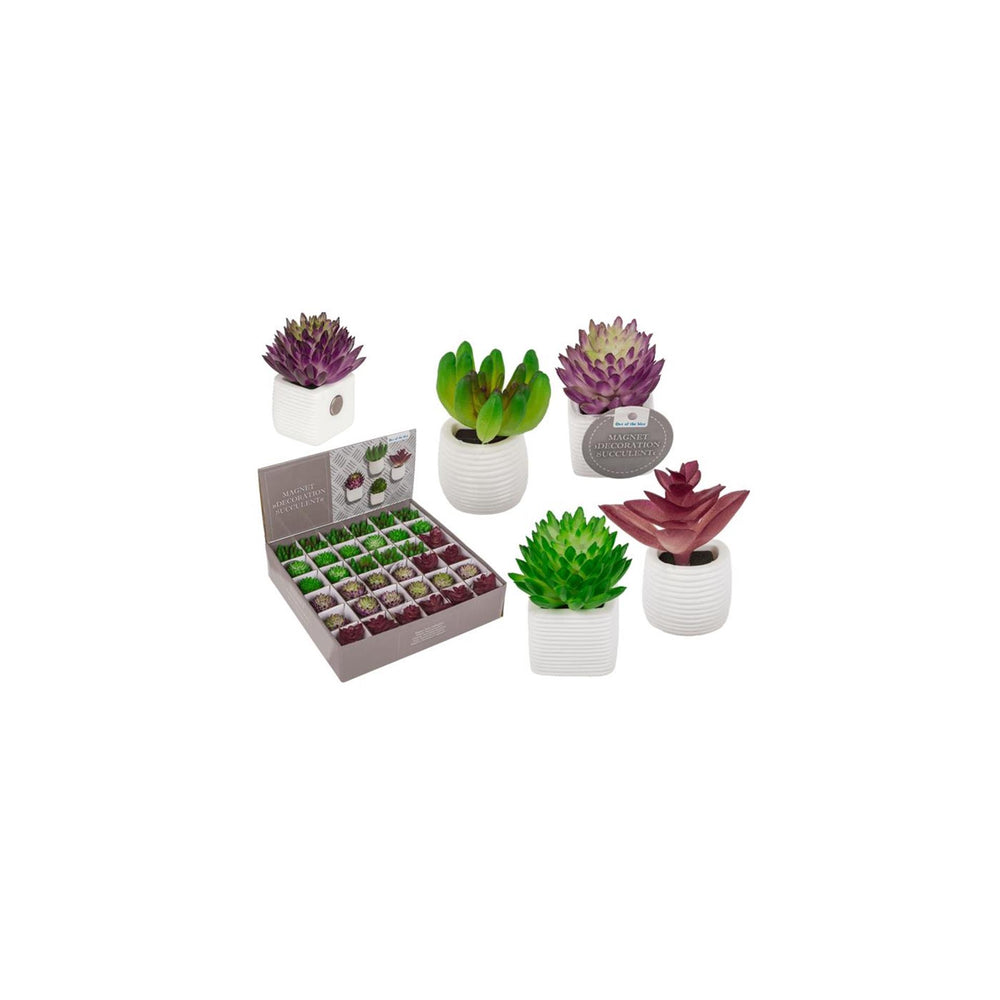 Ootb magneet vetplant in pot 3x5cm 4 assorti