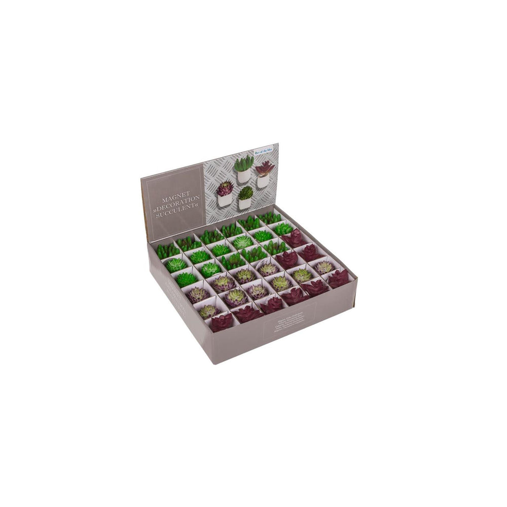 Ootb magneet vetplant in pot 3x5cm 4 assorti