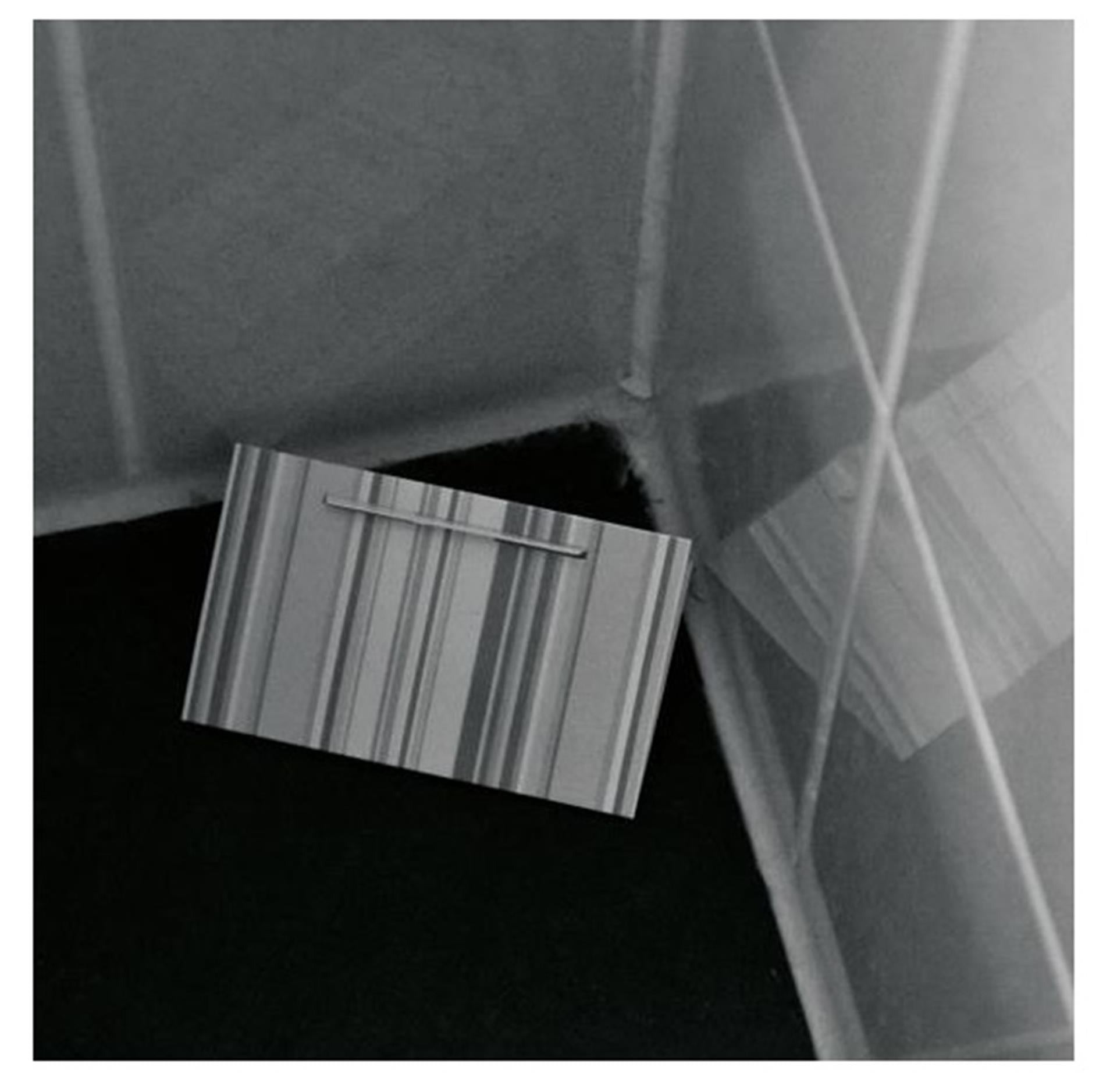 Hg x zilvervisjesval doosje a 2 stuks