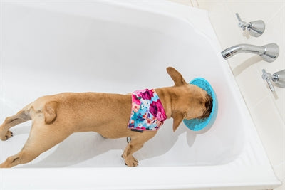 Lickimat splash turquoise