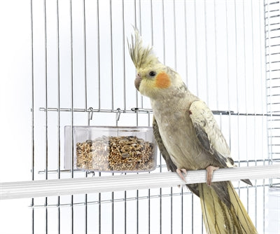 Imac food bowl parrot