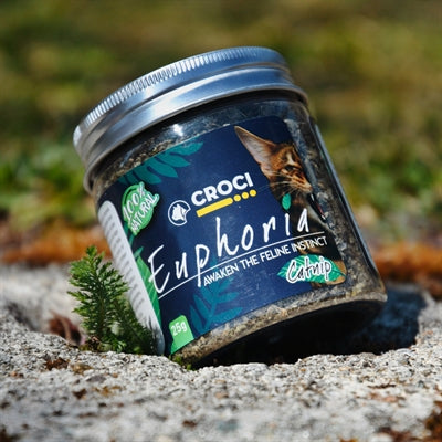 Croci Euphoria kattenkruidpot