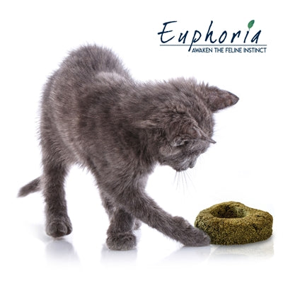 Croci euphoria kattenkruid hart