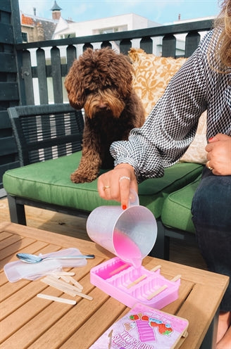 Easypets easy freezy dog ​​ice hondenijs ananas