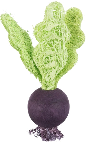 Trixie Speelbalset biet aardbei hout loofah
