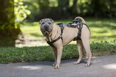 Solvit petsafe zorglift voor en achter