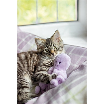 Vrolijke moggy Moggy onderwateroctopus