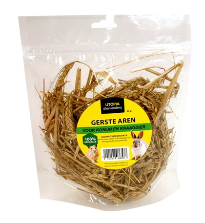 Utopia gerste aren