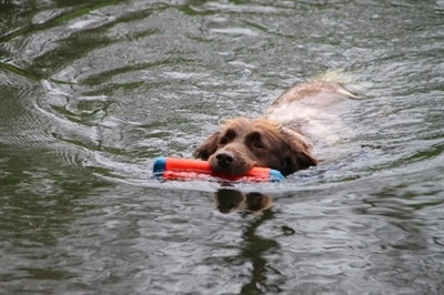 Chuckit amfibische bumper assortiment