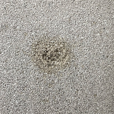 Easypets Premium clean white bentoniet kattenbakvulling