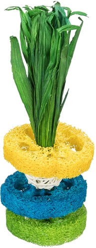 Trixie luffa ringen met rotanbal en houten schijf naturel