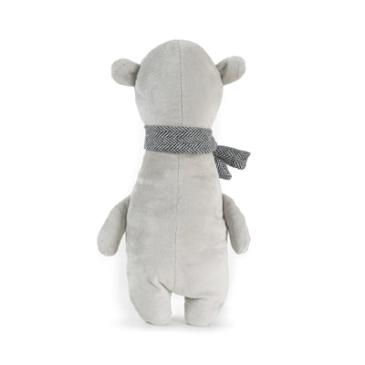 Cupido komeet Bowie bier