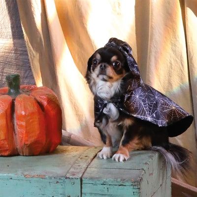 Croci hondencape lastig spook