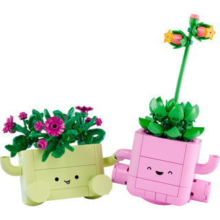 Lego botanicals 11506 | 2 stuks