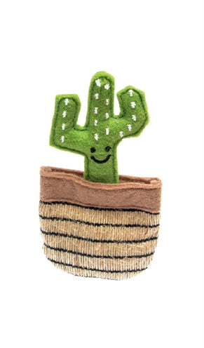 Fofos cactus Mexico