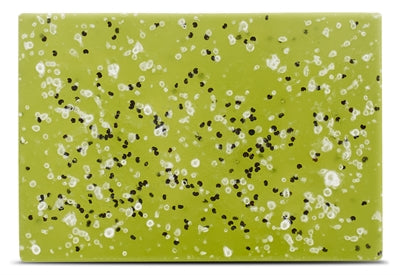 Geliefde Bugfree huisdier shampoo bar