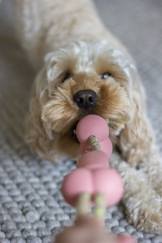 Palissanderhout Stoer gedraaid rubber met touw bbq smaak