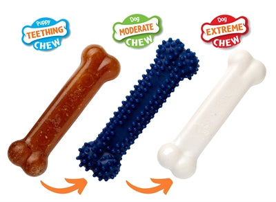 Nylabone puppy chew puppy starterskit kip
