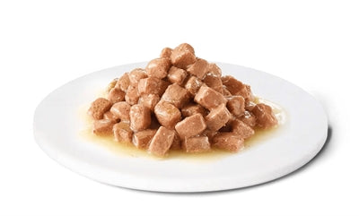 Advance Veterinary dieet hond kat herstel herstel