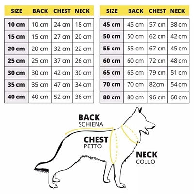 Croci honden jasje sneeuwpop