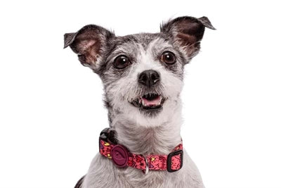 Morso Halsband hond gerecycled roze, denk roze