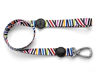 Morso hondenriem gerecycled spaghetti-incident