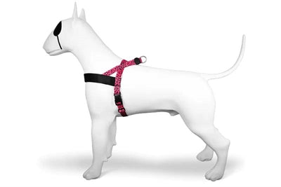 Morso noors hondentuig gerecycled bubble leo roze