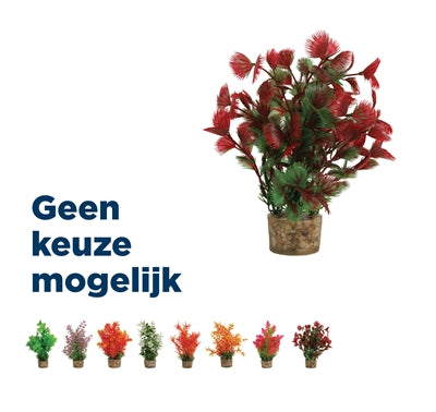 Zolux Ornament pastic plant op stenen diverse soorten